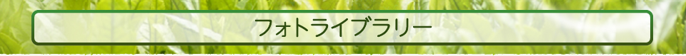 公益社団法人静岡県茶業会議所　フォトライブラリー